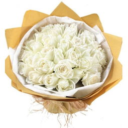 6朵白玫瑰花语是什么