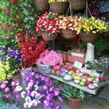 宜都花店网上订购
