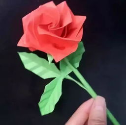 手工制作玫瑰花的视频教程