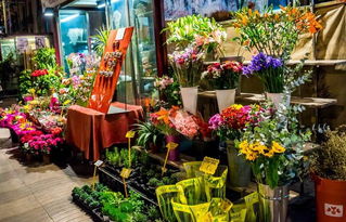 济南花店电话