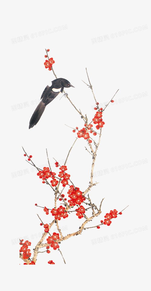 梅花图片手绘