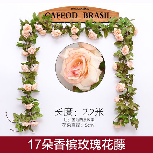 17朵香槟玫瑰花语是什么