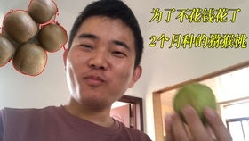 房产小白工作怎么样