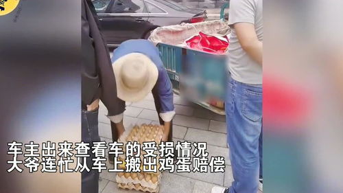 汽车撞死鸡赔多少