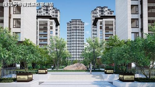 浙江大家房产怎么样