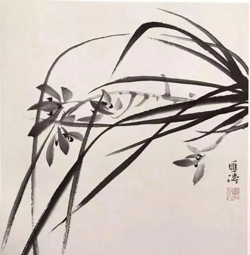 拍房产注意点怎么写好
