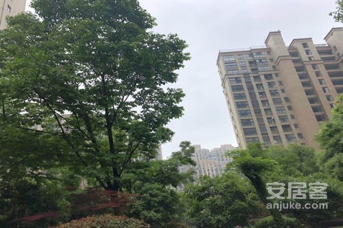 梧桐房产经纪怎么样