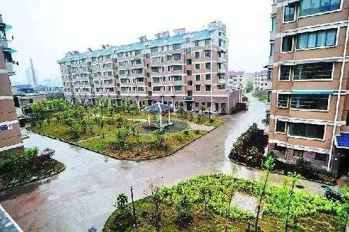 金华禾苗房产怎么样