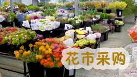 北京花卉批发市场在哪