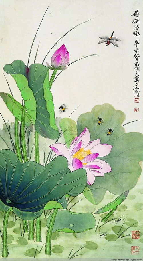 荷花图片 绘画