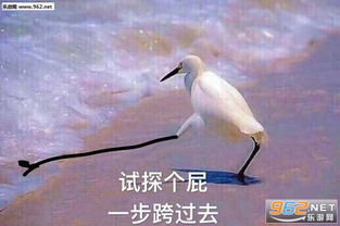 韩国试探游戏有哪些游戏