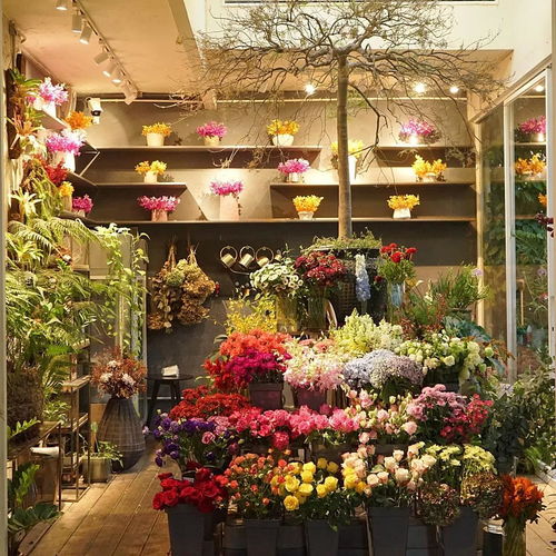 南京鲜花店