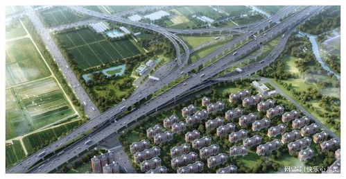 怎么拍卖地基建房产