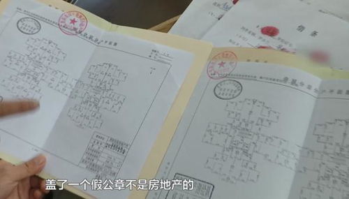 透明房产证怎么查