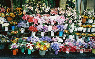 鲜花店介绍