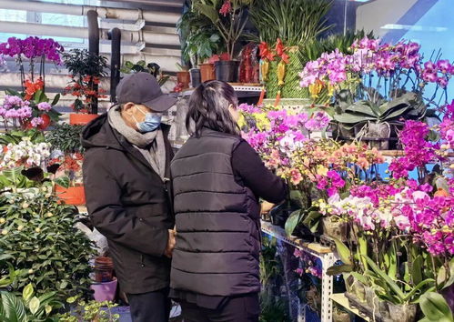 北京石景山花店