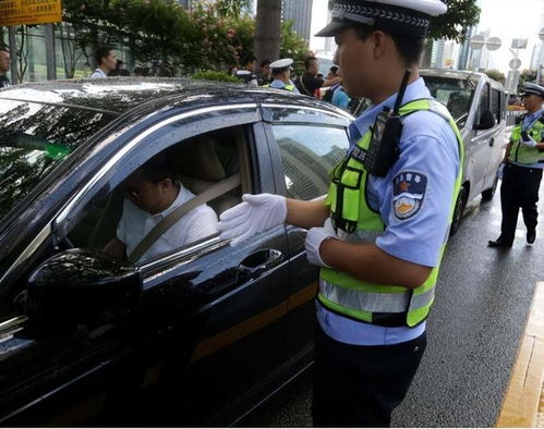 全国汽车罚款多少亿