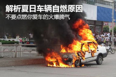 汽车自燃每天有多少