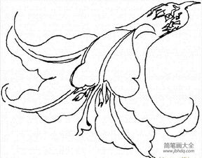 花朵的100种画法 花朵的100种画法