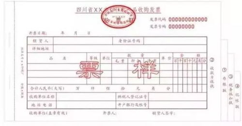 房产专用收据怎么写范文