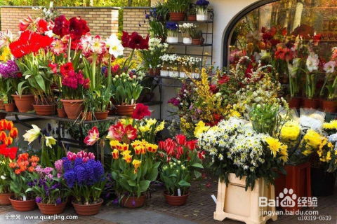 怎样开好一家花店 怎样开好一家花店
