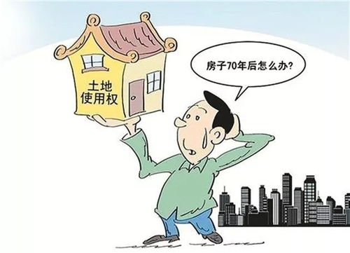 房产产权占比怎么填