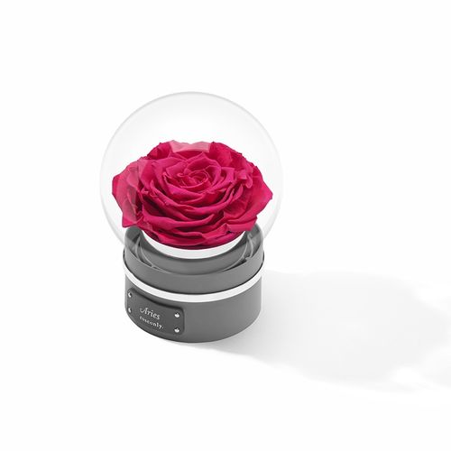roseonly官方旗舰店