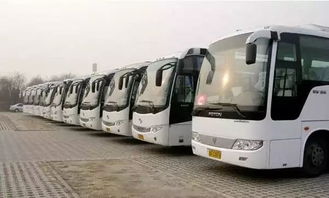 阳光小学有多少汽车