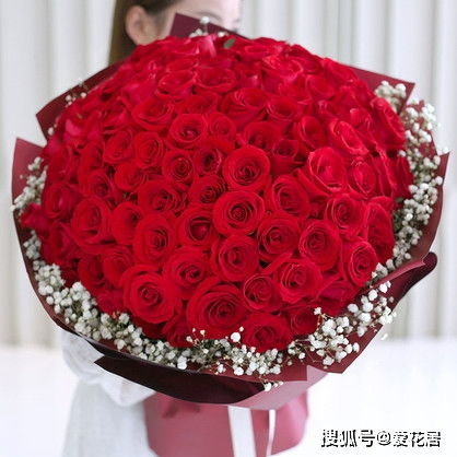 99朵玫瑰花图片大全大图