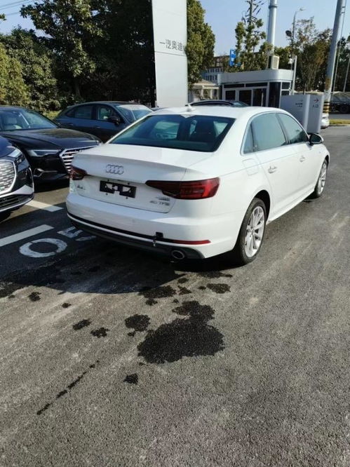 开封共有多少辆汽车