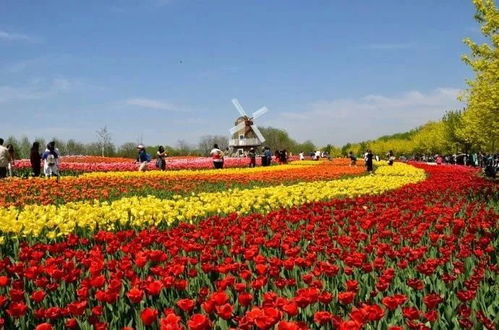 北京国际鲜花港攻略 北京国际鲜花港攻略