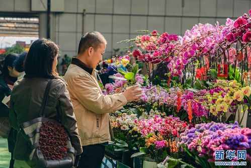花市鲜花网订单查询