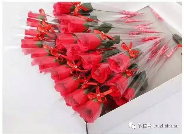 教师节送什么花给老师最佳