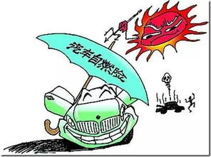 汽车自燃险赔付多少