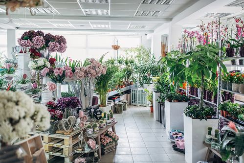 开一家鲜花店需要多少钱