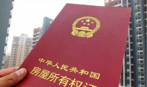 房产共同拥有手续怎么写