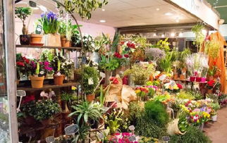 这附近哪有花店