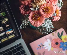 鲜花批发进货平台
