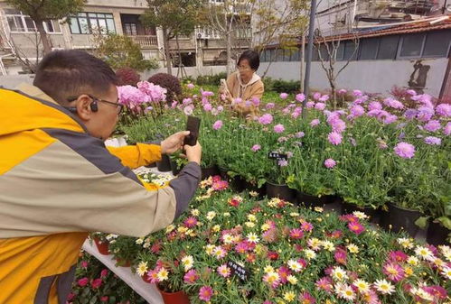 花卉平台有哪些