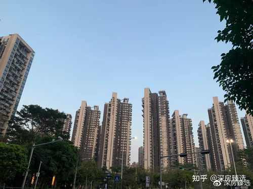 两女怎么分房产