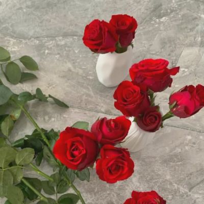 玫瑰花图片最新图片