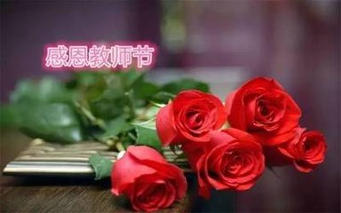 送给老师鲜花送什么花