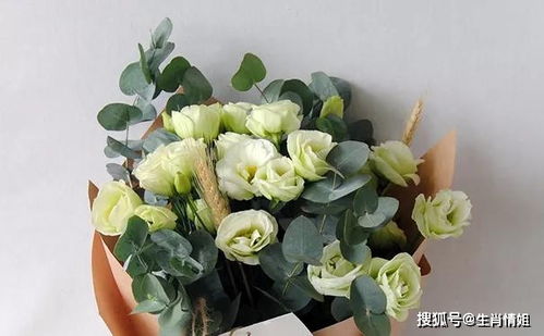 不同颜色桔梗花的花语