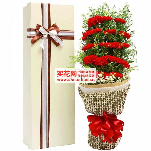 19朵康乃馨花语