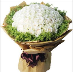 99朵白玫瑰花代表什么意思