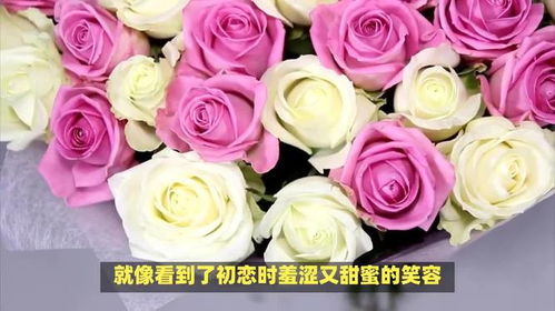 玫瑰花的花语是什么意思