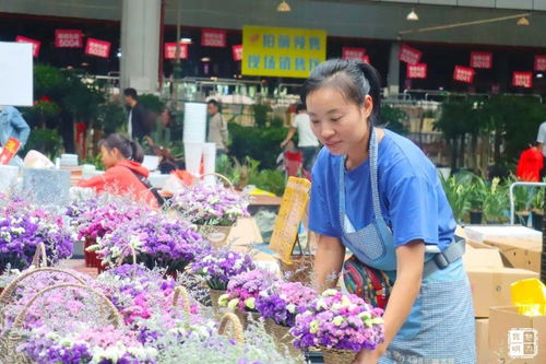 卖鲜花在哪进货最便宜