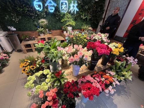 花礼网鲜花怎么样(花礼网的花怎么样)