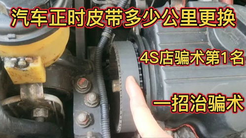 汽车换汽车皮带多少钱一个