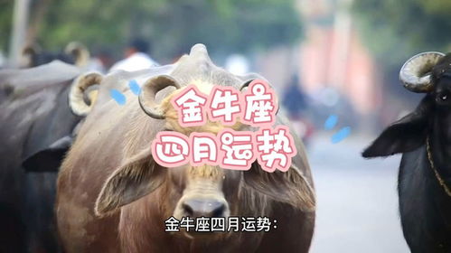 金牛近期运势四月出生女
